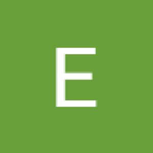 Ens